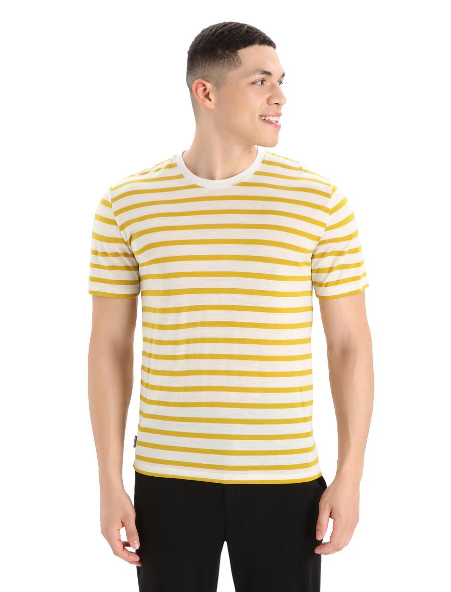 Koszulki Icebreaker Merino Drayden Krótkie Sleeve Stripe Męskie Złote | PL 1762CTVE